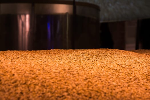 Barely Grain Pile Texture Close Up Food