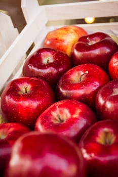 Basket Wooden Crate of Fresh Red Apples Stem Sale Focus Shallow Depth of Field