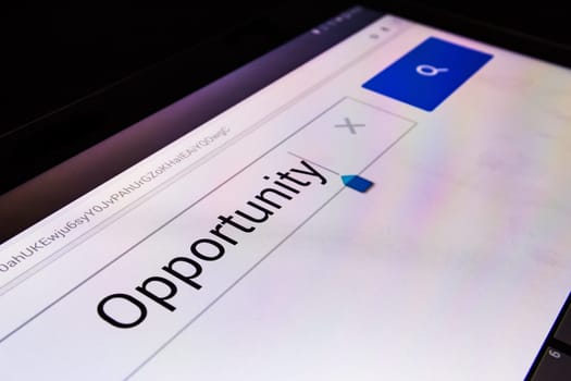 Magnifying Glass Search Box Empty Blank Internet Screen Opportunity