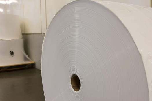 Paper Roll Industrial Printing White Blank Cardboard Tube Detail Closeup