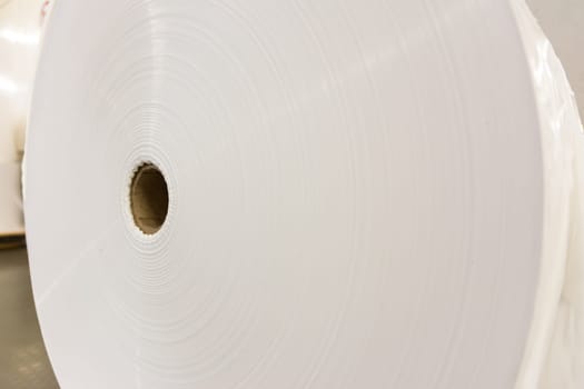 Paper Roll Industrial Printing White Blank Cardboard Tube Detail Closeup