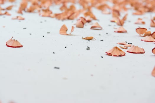 Red Pencil Shavings Closeup Texture Background White Pieces Dust Art Drawing Pieces