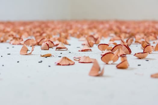 Red Pencil Shavings Closeup Texture Background White Pieces Dust Art Drawing Pieces