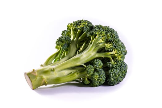 Single Brocoli Stem Top Bush Vegetable Fresh Cooking Raw Ingredient Isolated White Background Detail Closeup
