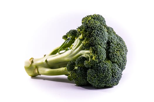 Single Brocoli Stem Top Bush Vegetable Fresh Cooking Raw Ingredient Isolated White Background Detail Closeup