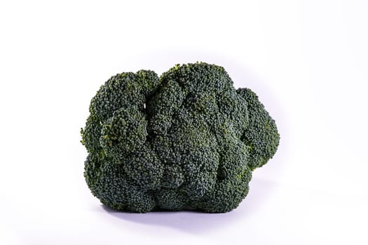 Single Brocoli Stem Top Bush Vegetable Fresh Cooking Raw Ingredient Isolated White Background Detail Closeup