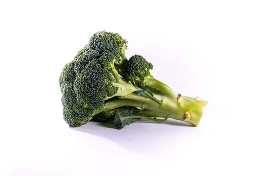 Single Brocoli Stem Top Bush Vegetable Fresh Cooking Raw Ingredient Isolated White Background Detail Closeup