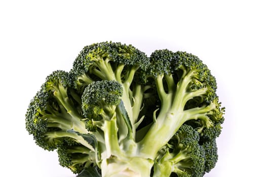 Single Brocoli Stem Top Bush Vegetable Fresh Cooking Raw Ingredient Isolated White Background Detail Closeup
