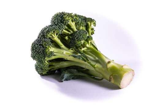 Single Brocoli Stem Top Bush Vegetable Fresh Cooking Raw Ingredient Isolated White Background Detail Closeup