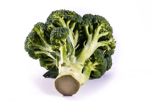 Single Brocoli Stem Top Bush Vegetable Fresh Cooking Raw Ingredient Isolated White Background Detail Closeup