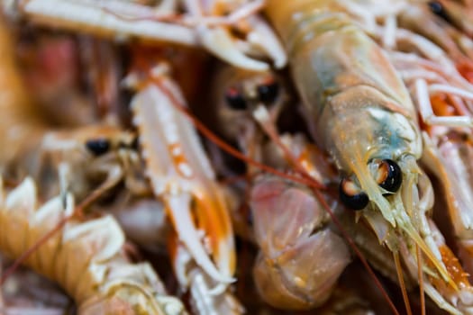 Shrimp Together Macro Detail Sale Seafood Market