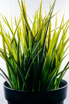 Artificial Grass Plastic Green Light Isolated White Background Decoration