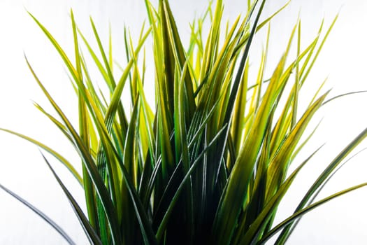 Artificial Grass Plastic Green Light Isolated White Background Decoration