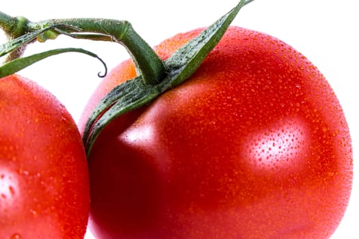 Couple Two Tomatoes Connected Stems Fresh Vegetables Cooking Ingredient Isolated White Background