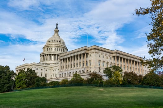 Daytime Landscape US Capitol Building Washington DC Grass Blue Sky
