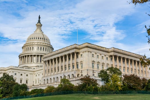 Daytime Landscape US Capitol Building Washington DC Grass Blue Sky