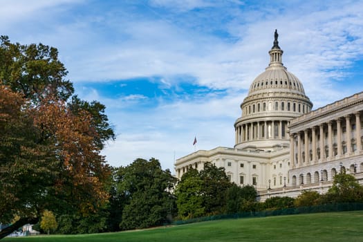 Daytime Landscape US Capitol Building Washington DC Grass Blue Sky