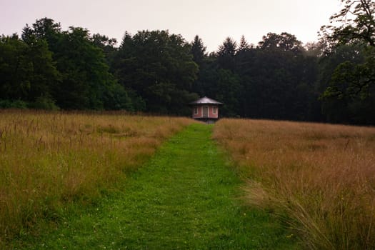 Natural Grassy Path Leading through Field to Small Red Hut in Woods