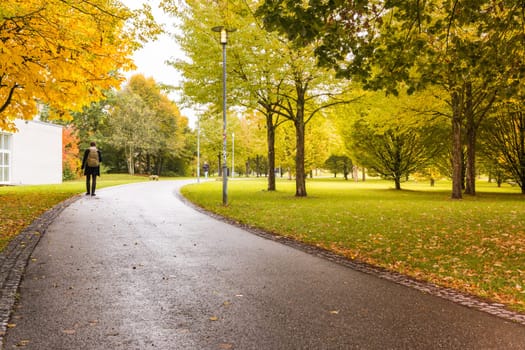 Fall Autumn Trees Orange Red Yellow Path Street Road Asphalt Park Walking Along Curve Outdoors