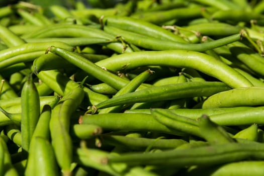 Macro of Bunch of Fresh Green Beans at Local Food Market