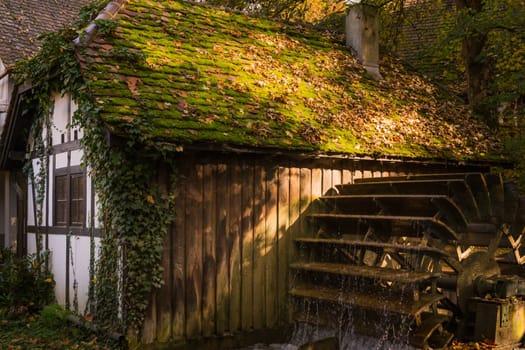 Half Timber House Cottage Village River Waterwheel Architecture Fairy Tale Building Forest Leaves Fantasy Warm Sunset Afternoon Cozy German European Story