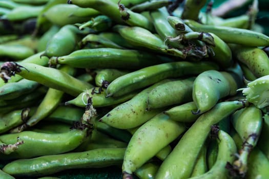 Large Green Beans Market Local Food Farmer Fresh Organic