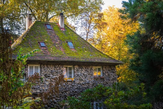 Large Old Stone House Forest Fantasy Fairy Tale German Forest Woods Cottage House Structure Green Autumn Fall Season Chimney Exterior