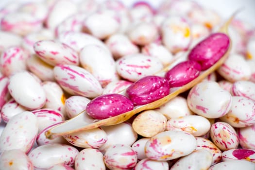 Colorful Fresh Kidney Beans