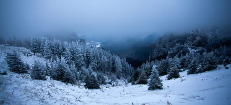Christmas and New Year background with winter trees in mountains covered with fresh snow - Magic holiday background