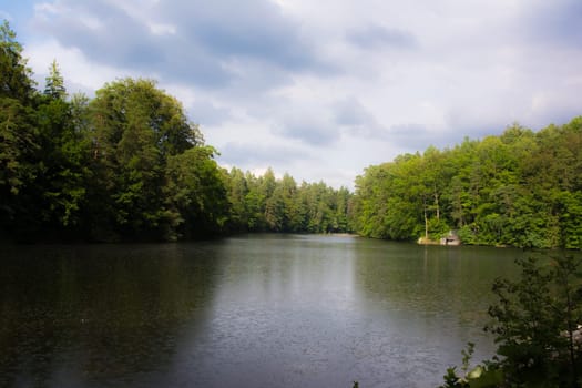 Sunny Lake Landscape in Nature around Bärensee, Stuttgart