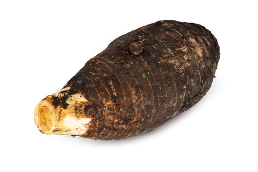 Taro on white background, close up of root vegetable