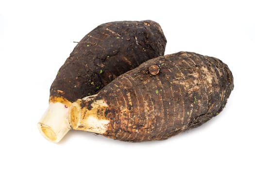 Taro on white background, close up of root vegetable