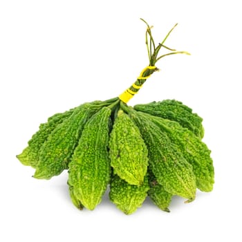 Bitter Gourd On White Background, close up of Thai vegetable