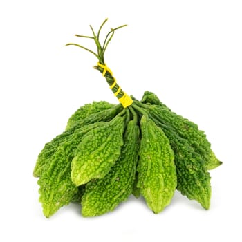 Bitter Gourd On White Background, close up of Thai vegetable