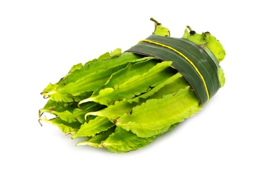 Goa Bean On White Background, close up of green tropical vegetable