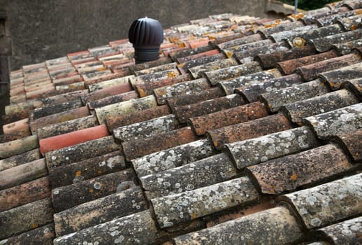 Roof shingles