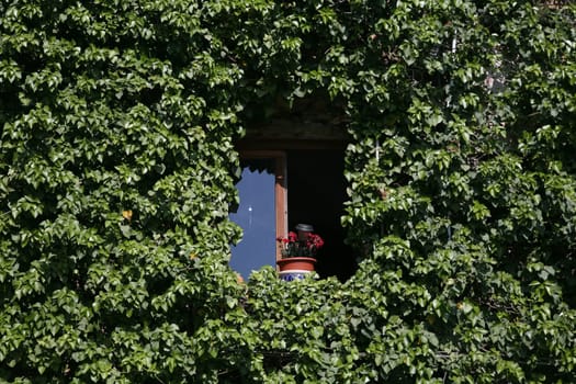 Detail