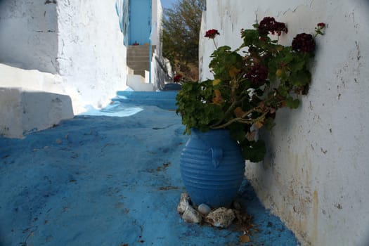 Plaka