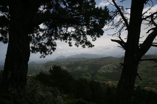 landscape