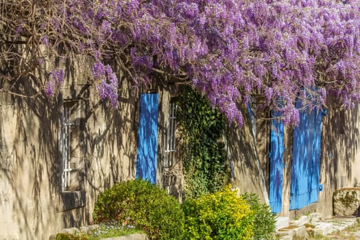 A house wall with light blue shutters and blue rain