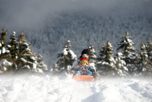 a little boy sledging in the snow with an adult