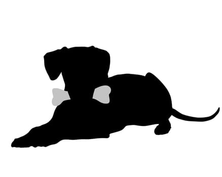 Dog with bone