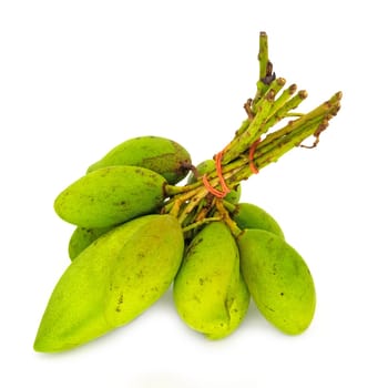 Mango Fruit With Twig, close up of tropical fruit on white background