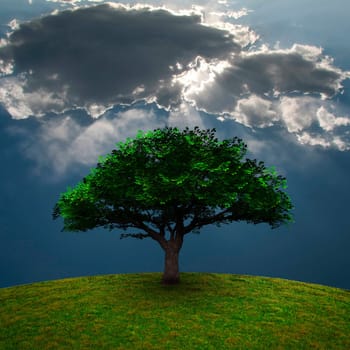 Green Tree. Dramatic clouds. 3D rendering.
