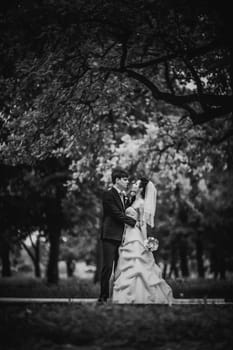 Black white photography beautiful young couple stand on background forest