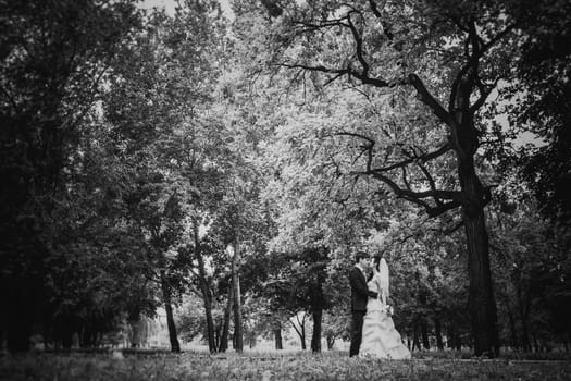 Black white photography beautiful young couple stand on background forest