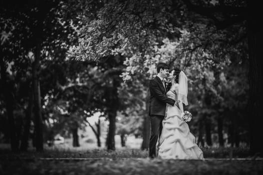 Black white photography beautiful young couple stand on background forest