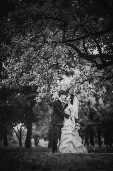 Black white photography beautiful young couple stand on background forest