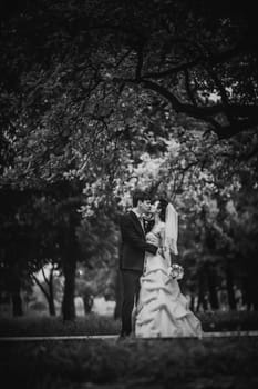 Black white photography beautiful young couple stand on background forest
