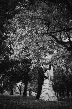 Black white photography beautiful young couple stand on background forest